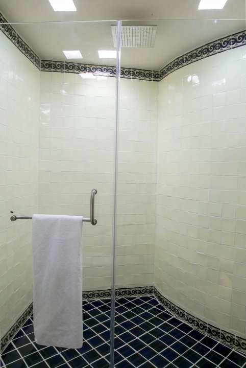 Bathroom 1 - shower